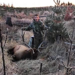 Meet your Posher, Willy